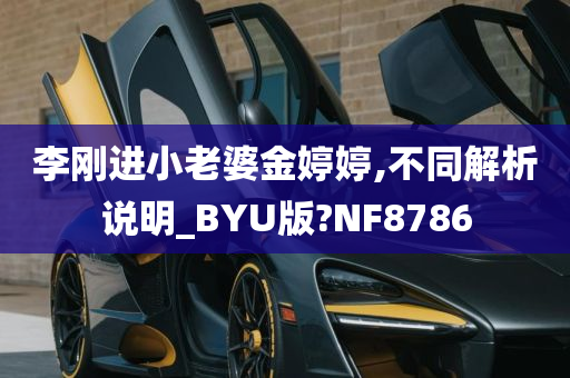 李刚进小老婆金婷婷,不同解析说明_BYU版?NF8786