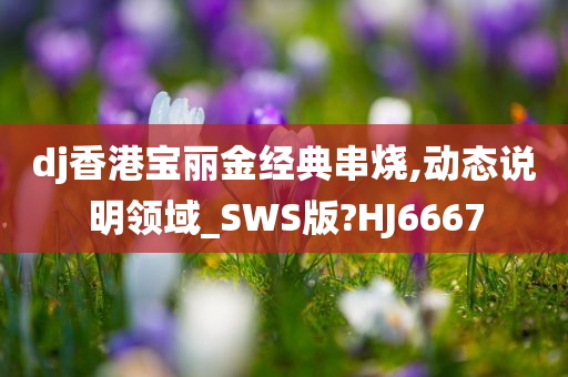 dj香港宝丽金经典串烧,动态说明领域_SWS版?HJ6667