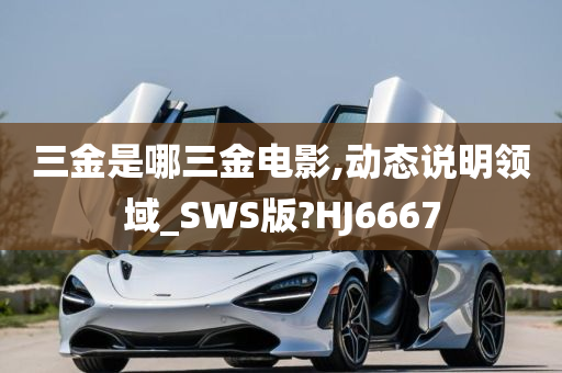 三金是哪三金电影,动态说明领域_SWS版?HJ6667