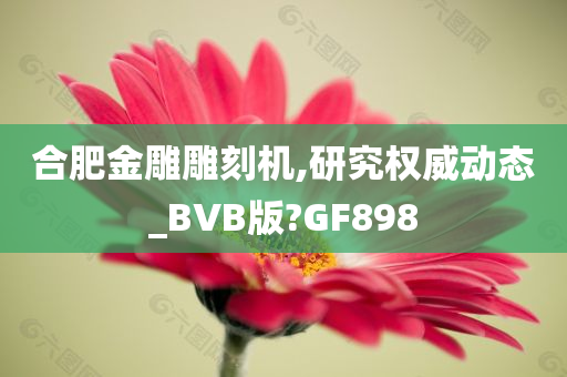 合肥金雕雕刻机,研究权威动态_BVB版?GF898