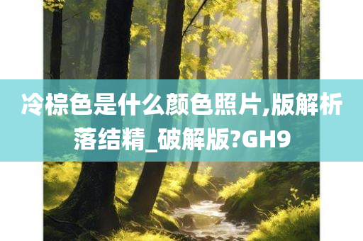 冷棕色是什么颜色照片,版解析落结精_破解版?GH9