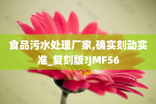 食品污水处理厂家,确实刻动实准_复刻版?JMF56