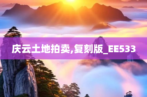 庆云土地拍卖,复刻版_EE533