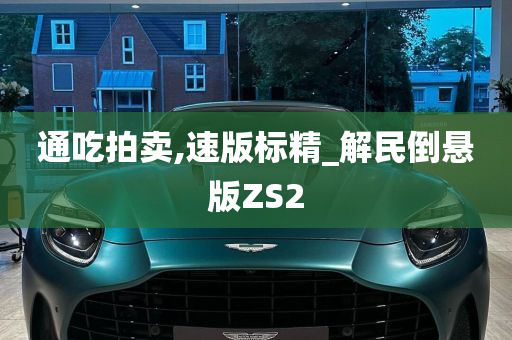 通吃拍卖,速版标精_解民倒悬版ZS2