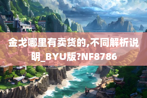 金戈哪里有卖货的,不同解析说明_BYU版?NF8786