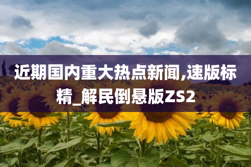 近期国内重大热点新闻,速版标精_解民倒悬版ZS2