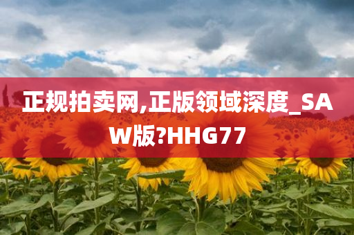 正规拍卖网,正版领域深度_SAW版?HHG77