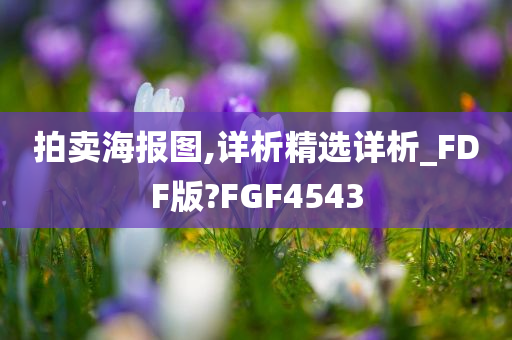 拍卖海报图,详析精选详析_FDF版?FGF4543