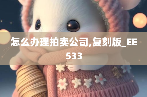 怎么办理拍卖公司,复刻版_EE533