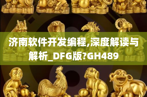 济南软件开发编程,深度解读与解析_DFG版?GH489