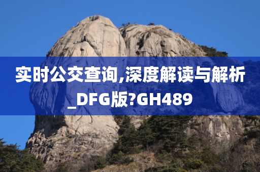 实时公交查询,深度解读与解析_DFG版?GH489