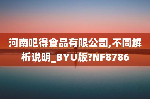 河南吧得食品有限公司,不同解析说明_BYU版?NF8786