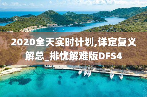 2020全天实时计划,详定复义解总_排忧解难版DFS4