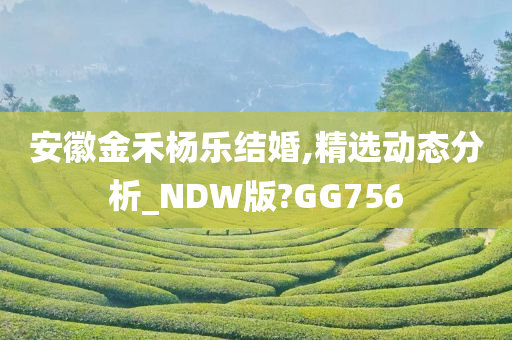 安徽金禾杨乐结婚,精选动态分析_NDW版?GG756