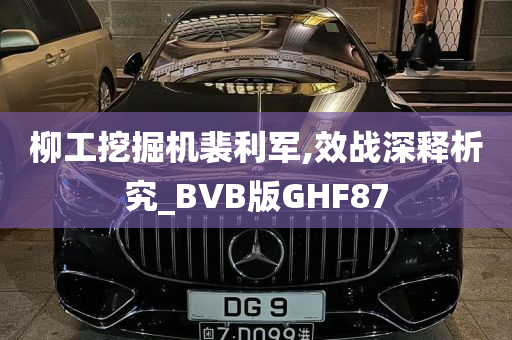 柳工挖掘机裴利军,效战深释析究_BVB版GHF87