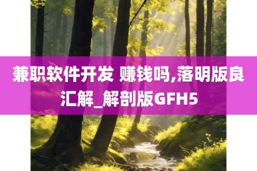 兼职软件开发 赚钱吗,落明版良汇解_解剖版GFH5