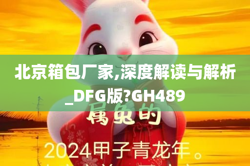 北京箱包厂家,深度解读与解析_DFG版?GH489