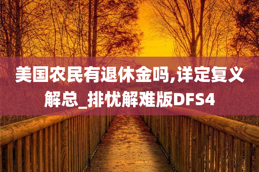 美国农民有退休金吗,详定复义解总_排忧解难版DFS4