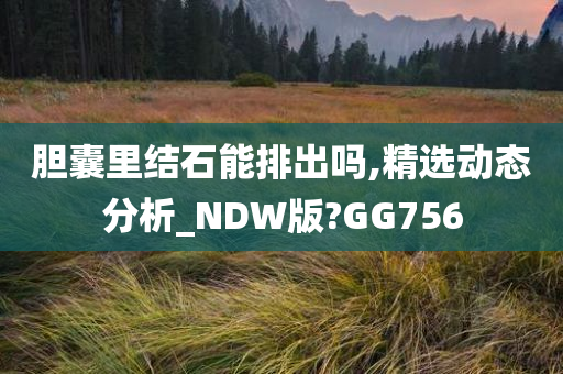 胆囊里结石能排出吗,精选动态分析_NDW版?GG756