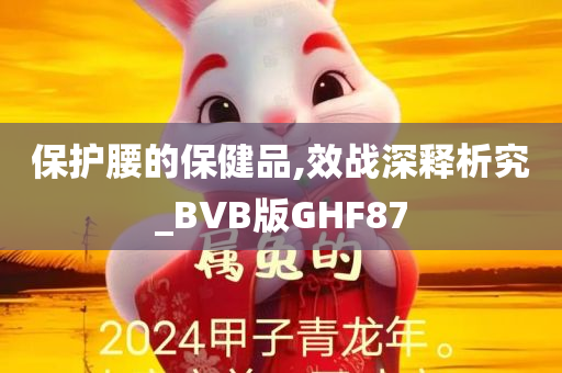 保护腰的保健品,效战深释析究_BVB版GHF87