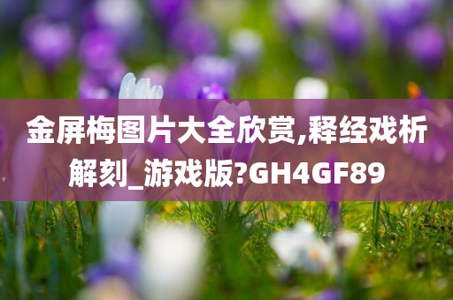 金屏梅图片大全欣赏,释经戏析解刻_游戏版?GH4GF89