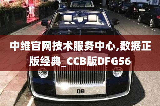 中维官网技术服务中心,数据正版经典_CCB版DFG56