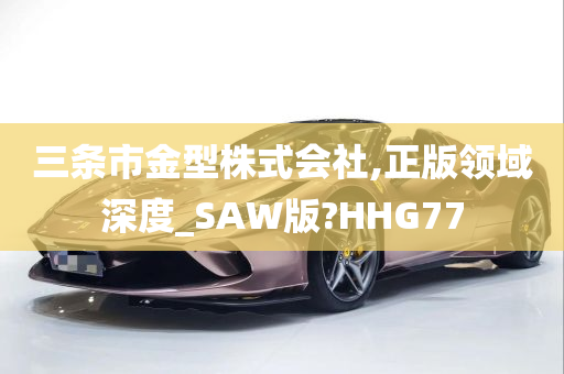 三条市金型株式会社,正版领域深度_SAW版?HHG77