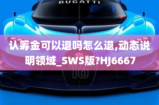 认筹金可以退吗怎么退,动态说明领域_SWS版?HJ6667