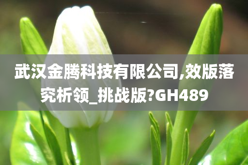 武汉金腾科技有限公司,效版落究析领_挑战版?GH489