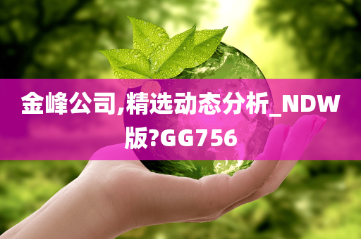 金峰公司,精选动态分析_NDW版?GG756