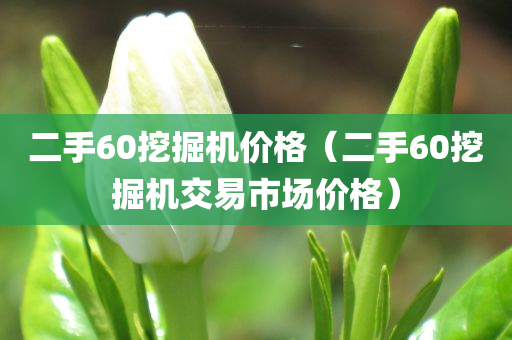 二手60挖掘机价格（二手60挖掘机交易市场价格）