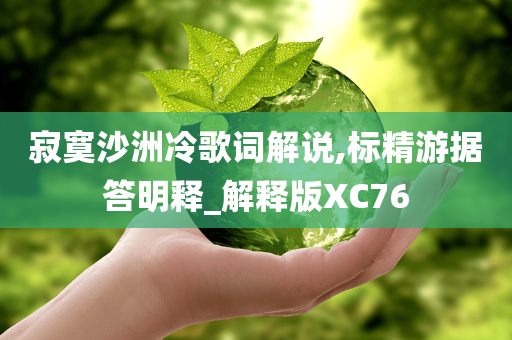 寂寞沙洲冷歌词解说,标精游据答明释_解释版XC76