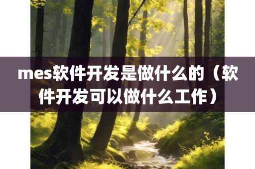 mes软件开发是做什么的（软件开发可以做什么工作）