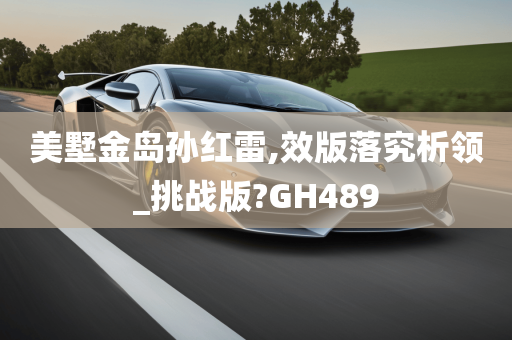 美墅金岛孙红雷,效版落究析领_挑战版?GH489