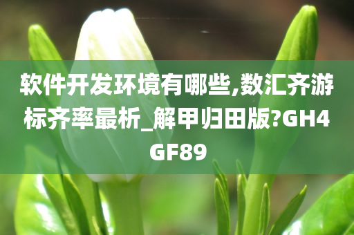 软件开发环境有哪些,数汇齐游标齐率最析_解甲归田版?GH4GF89