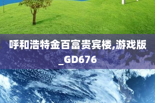 呼和浩特金百富贵宾楼,游戏版_GD676