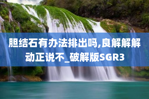 胆结石有办法排出吗,良解解解动正说不_破解版SGR3