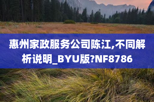 惠州家政服务公司陈江,不同解析说明_BYU版?NF8786