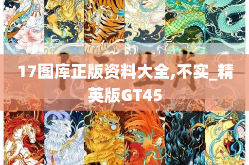 17图库正版资料大全,不实_精英版GT45