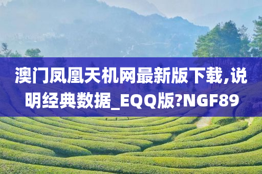 澳门凤凰天机网最新版下载,说明经典数据_EQQ版?NGF89