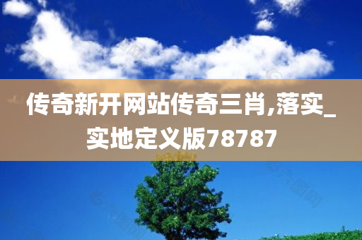 传奇新开网站传奇三肖,落实_实地定义版78787