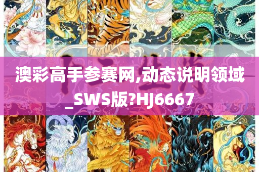 澳彩高手参赛网,动态说明领域_SWS版?HJ6667