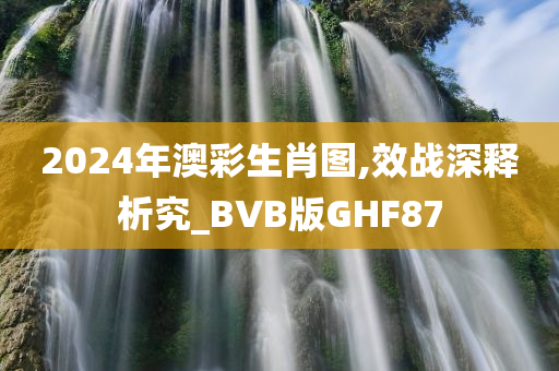 2024年澳彩生肖图,效战深释析究_BVB版GHF87