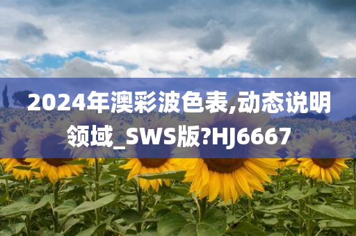 2024年澳彩波色表,动态说明领域_SWS版?HJ6667