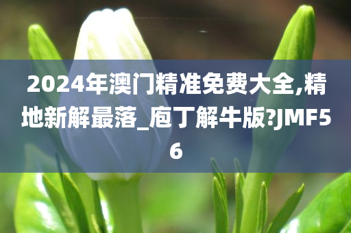 2024年澳门精准免费大全,精地新解最落_庖丁解牛版?JMF56