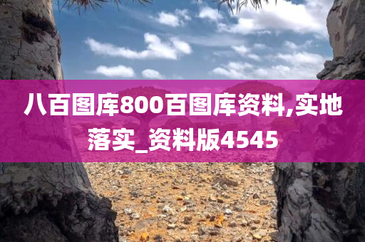 八百图库800百图库资料,实地落实_资料版4545