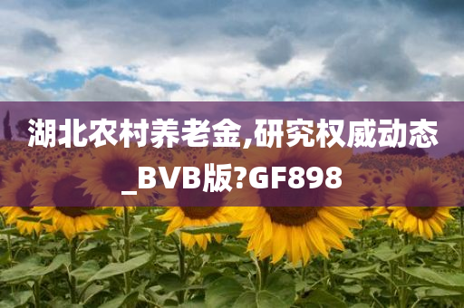 湖北农村养老金,研究权威动态_BVB版?GF898