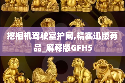 挖掘机驾驶室护网,精实迅版莠品_解释版GFH5