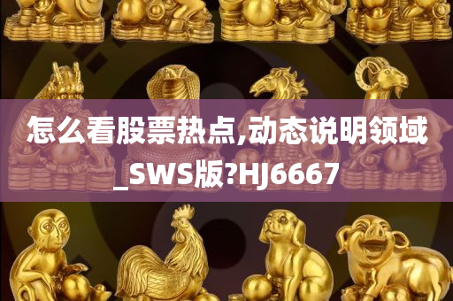 怎么看股票热点,动态说明领域_SWS版?HJ6667