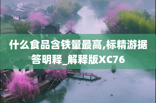 什么食品含铁量最高,标精游据答明释_解释版XC76